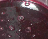 Grape